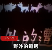 （野外的遭遇）动画片全集