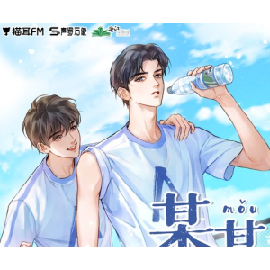 《某某》有声小说