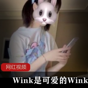 Wink是可爱的Wink 可爱学妹作品两部