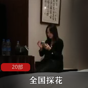 国产探花大神20部