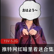 推特网红合集