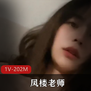 凤楼老师：吹拉弹唱技术经验视频1V，202M