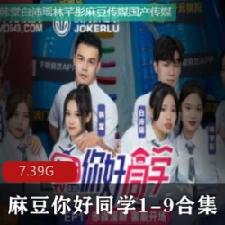 麻瓜豆豆传媒作品合集《你好同学1-9》