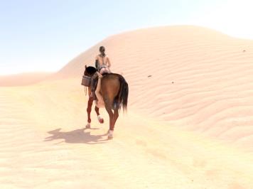 BreakingTheQuiet-口味重,静静与马,中文,2V-5.5G,人与马,棒球,进入,下载,观看