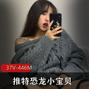 恐龙小宝贝资源合集：446MB大学生女神视频作品