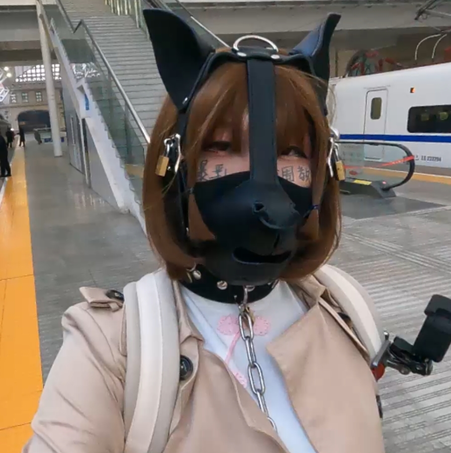 赵丽颖出演，17.9G视频集合，12v，百度盘