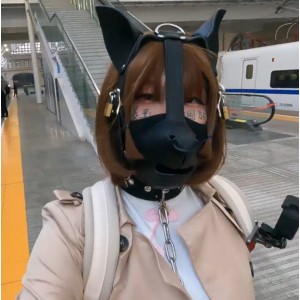 赵丽颖出演，17.9G视频集合，12v，百度盘
