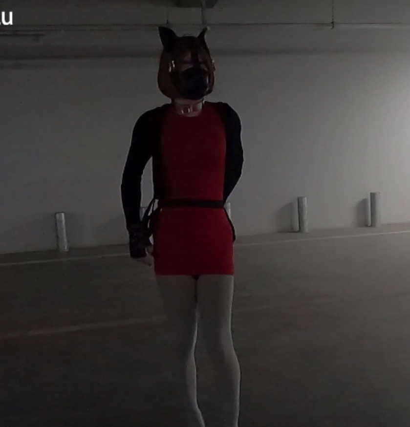 赵丽颖出演，17.9G视频集合，12v，百度盘