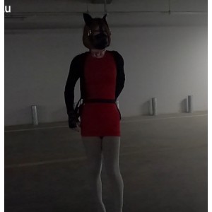 赵丽颖出演，17.9G视频集合，12v，百度盘