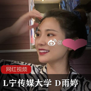 L宁传媒大学D雨婷作品