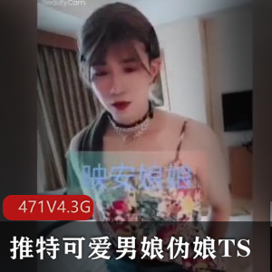 推特男娘TS精品视频合集471个4.3G小视频国内制作