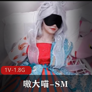 嗷大喵失眠第四集：王者荣耀西施资源自拍精选L莉束缚教育不漏点塞震震D[3V-3.4G]