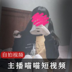 喵喵40部短视频集：多样风格展现魅力