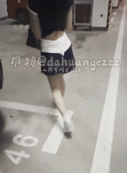 推特大黄鹅女大学生1v1指导合集12V8.6G太顶了