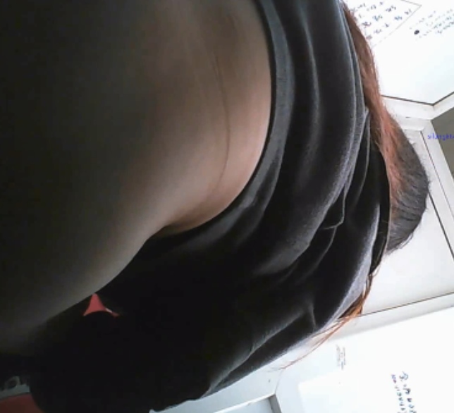 优质厕所拍摄合集路人同事20V17G资源分享