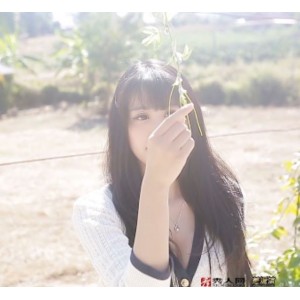 秀人模范学院44部绝美视频合集50G太迷人了