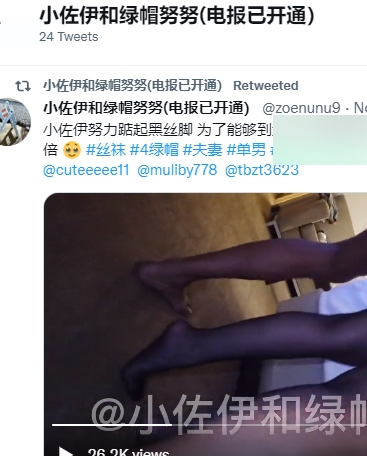 推特SirBAO劲爆新作《小佐伊和绿帽努努》1V554MB超清