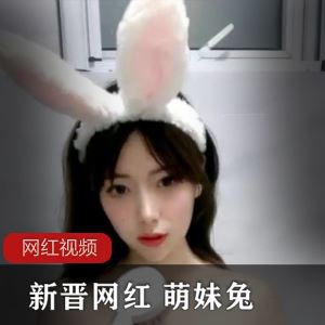 甜美P站萌妹兔多部兔耳视频743MB
